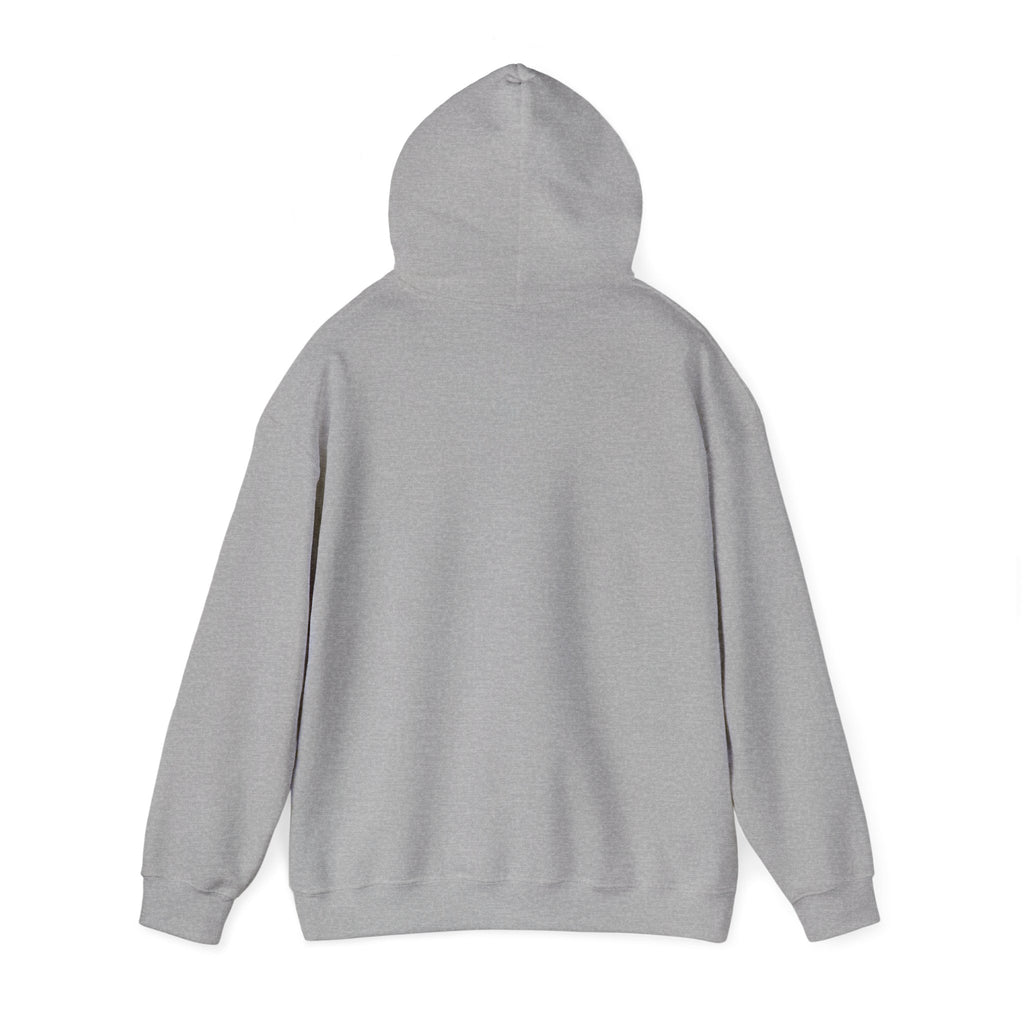 Natural Hair Soul Sister Hoodie – Proud Black Woman Graphic Sweatshirt