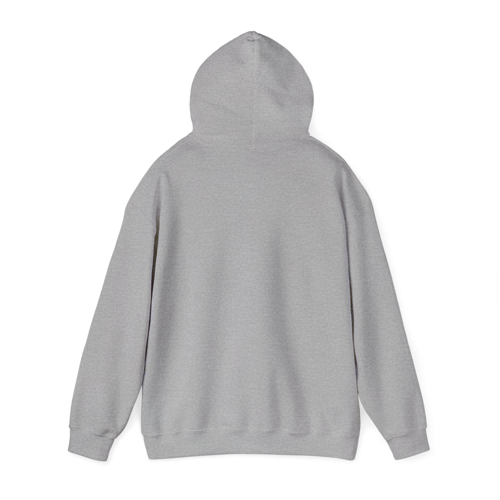 Natural Hair Soul Sister Hoodie – Proud Black Woman Graphic Sweatshirt