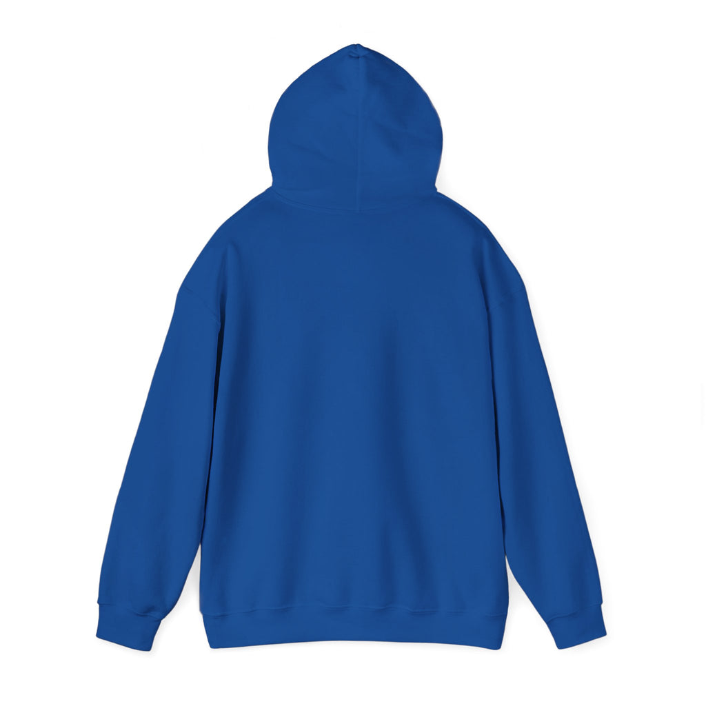 Hoodie - "Some People Need a High-Five, In the Face, With a Chair" Funny Retro Women Illustration