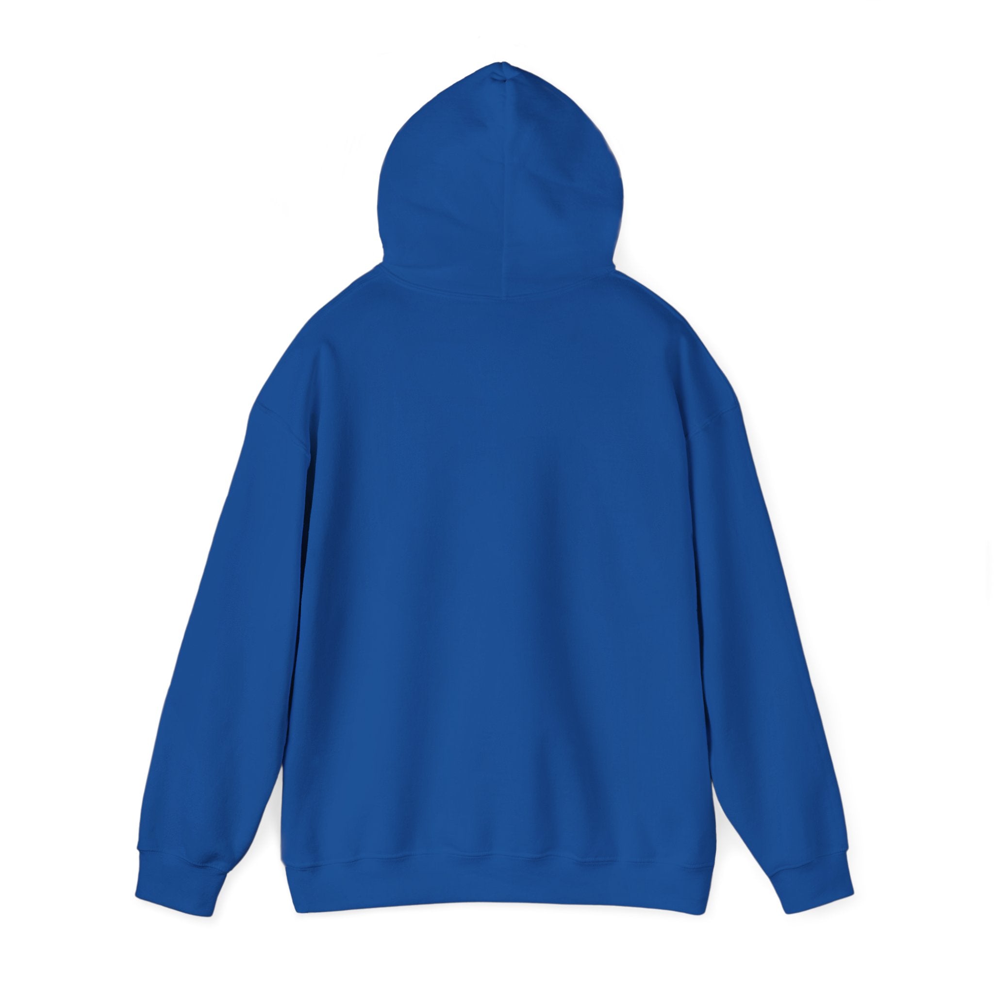 Hoodie - "Some People Need a High-Five, In the Face, With a Chair" Funny Retro Women Illustration