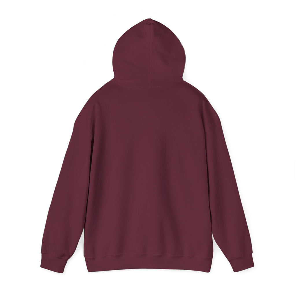 Hoodie - "Some People Need a High-Five, In the Face, With a Chair" Funny Retro Women Illustration