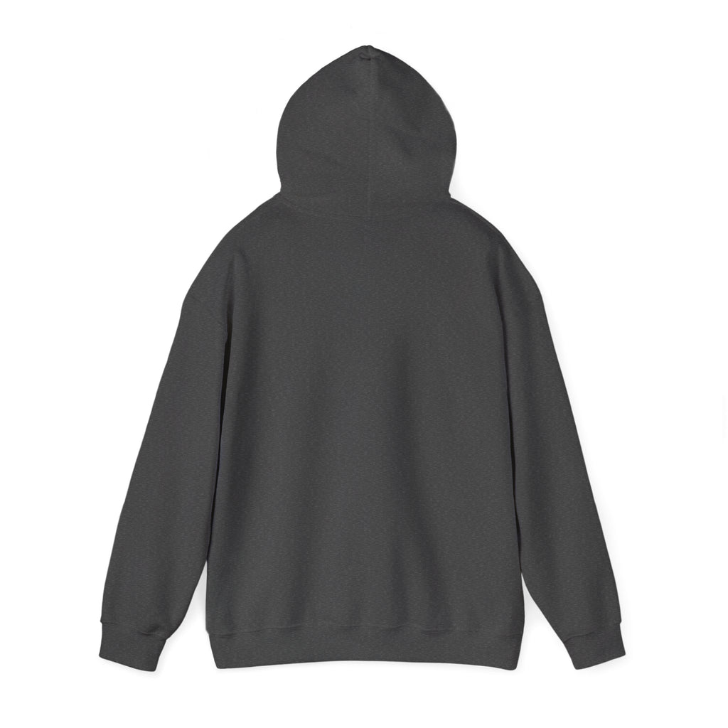Natural Hair Soul Sister Hoodie – Proud Black Woman Graphic Sweatshirt