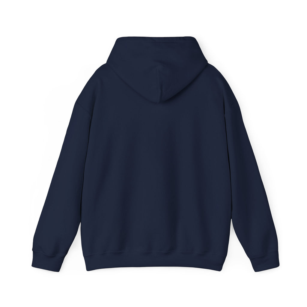 Hoodie - "Some People Need a High-Five, In the Face, With a Chair" Funny Retro Women Illustration