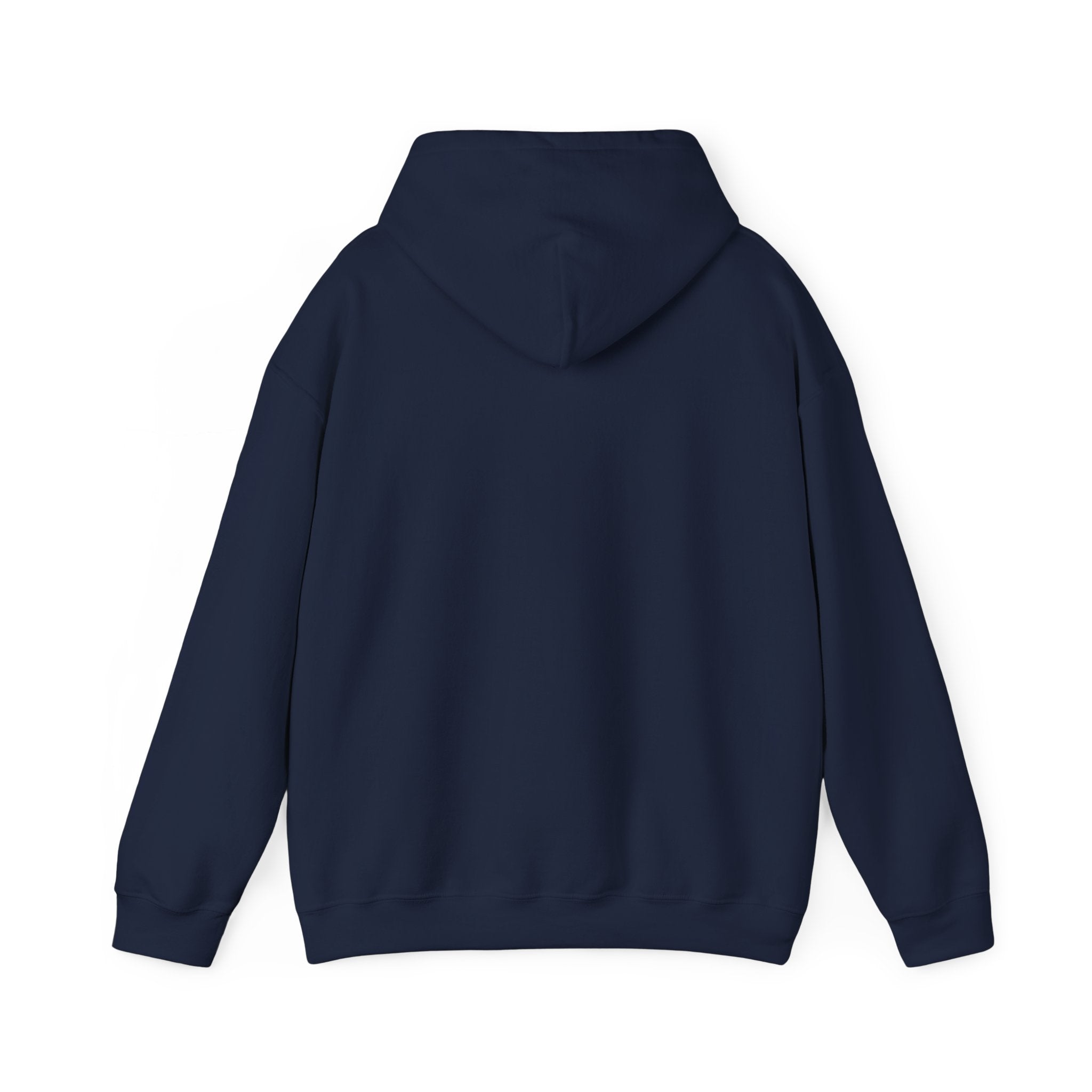 Hoodie - "Some People Need a High-Five, In the Face, With a Chair" Funny Retro Women Illustration