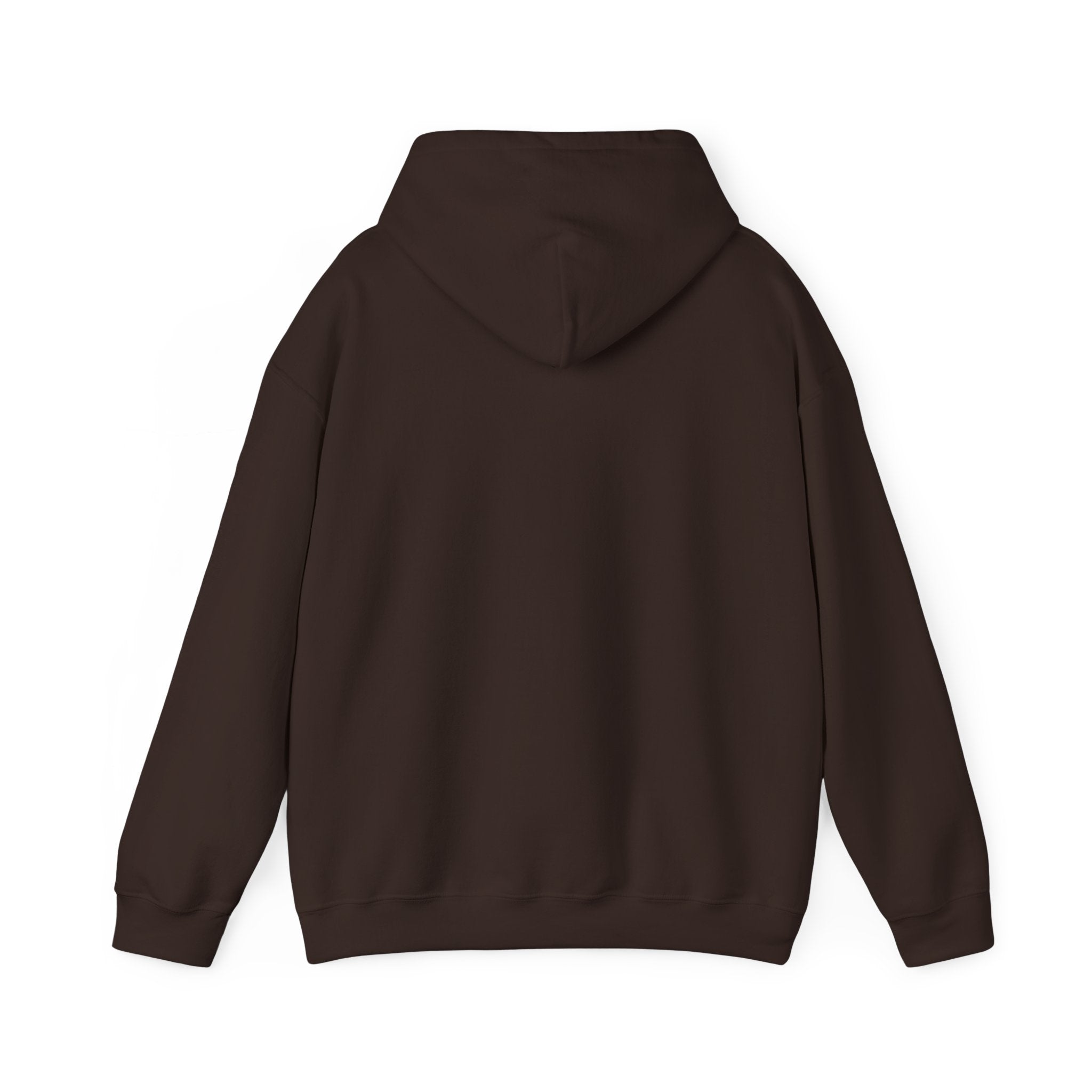 Natural Hair Soul Sister Hoodie – Proud Black Woman Graphic Sweatshirt