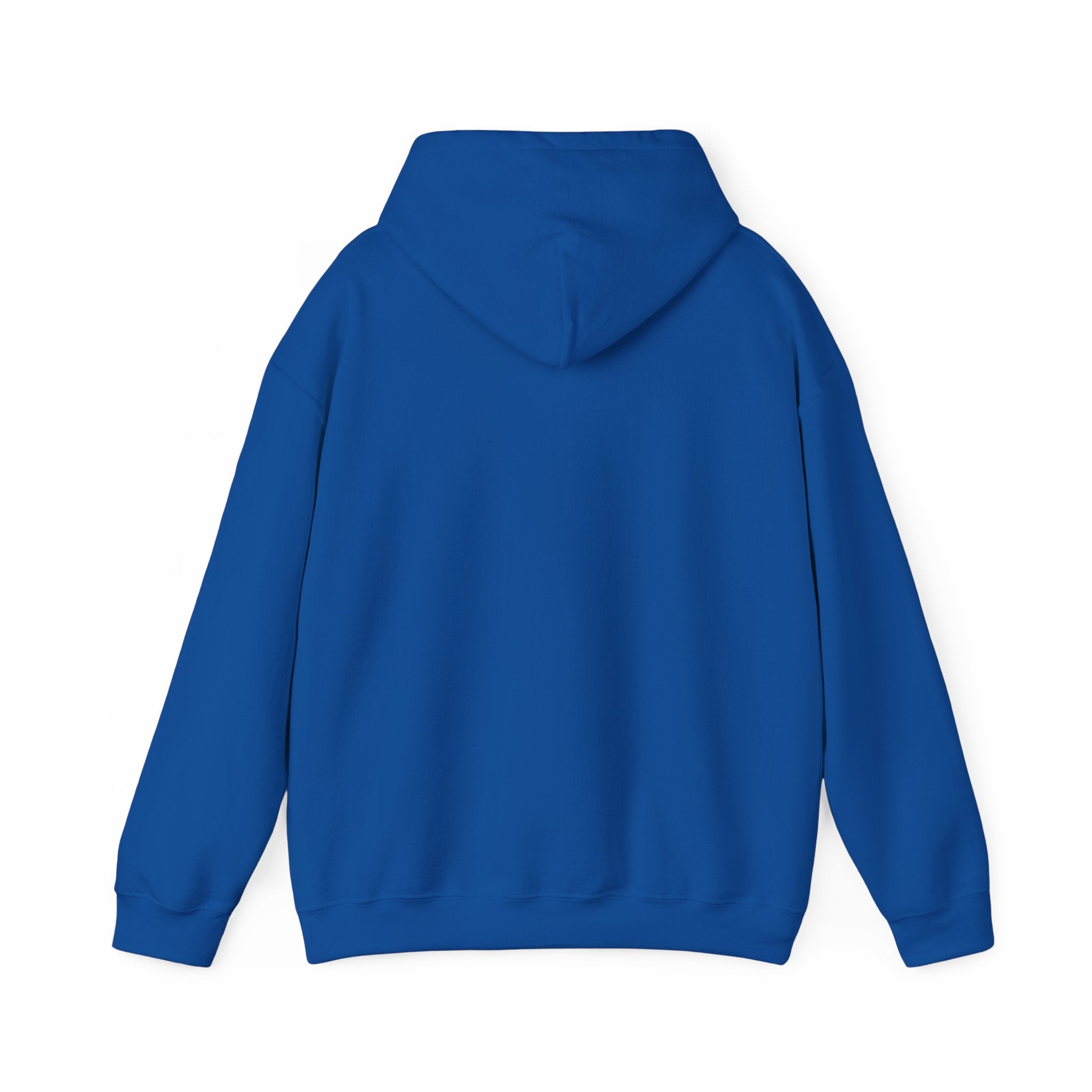 Hoodie - "Some People Need a High-Five, In the Face, With a Chair" Funny Retro Women Illustration