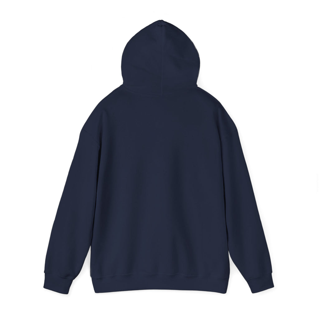 Hoodie - "Some People Need a High-Five, In the Face, With a Chair" Funny Retro Women Illustration