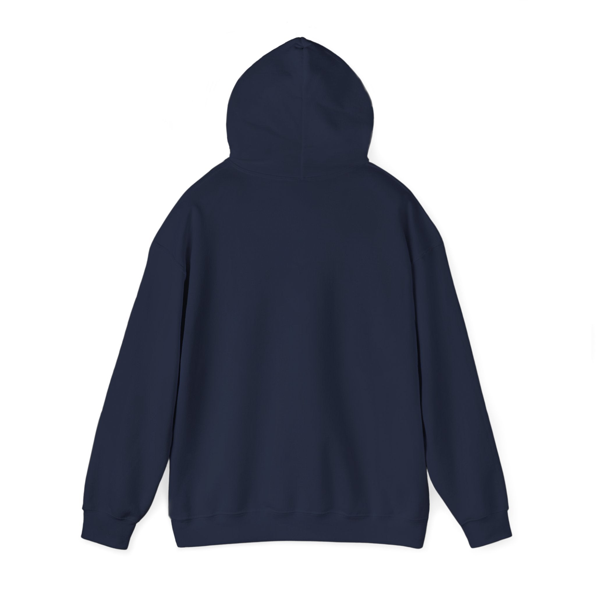 Hoodie - "Some People Need a High-Five, In the Face, With a Chair" Funny Retro Women Illustration