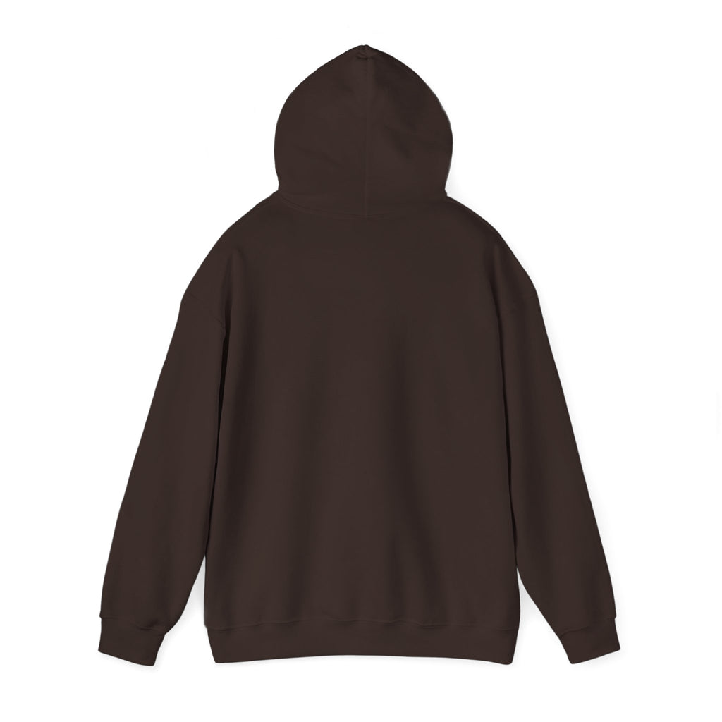 Natural Hair Soul Sister Hoodie – Proud Black Woman Graphic Sweatshirt