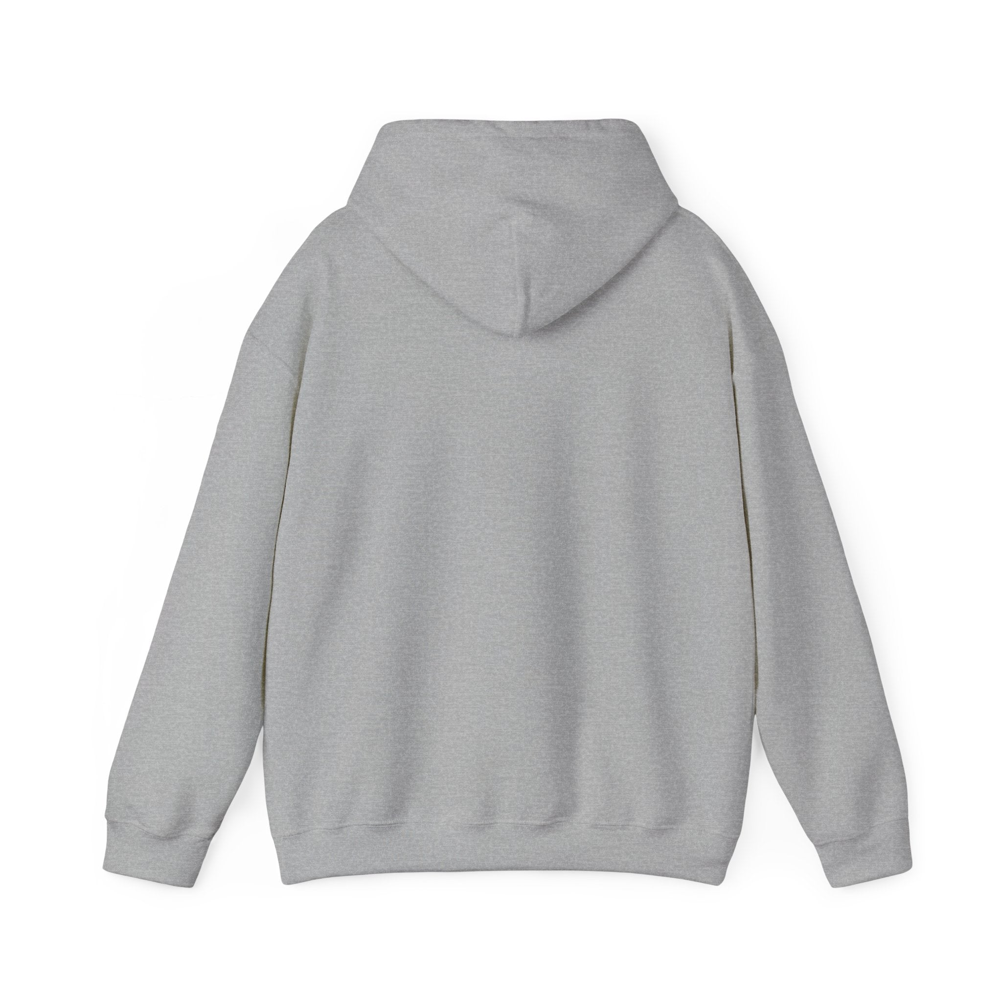 Natural Hair Soul Sister Hoodie – Proud Black Woman Graphic Sweatshirt