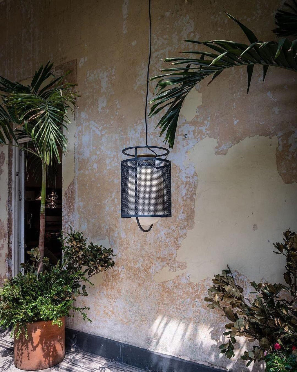 Denglong T Pendant Lamp 9.8"